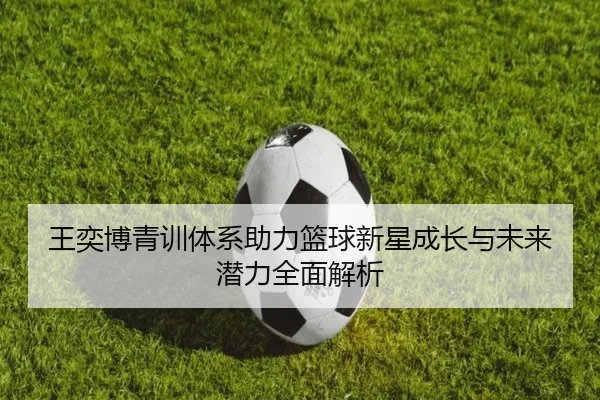 王奕博青训体系助力篮球新星成长与未来潜力全面解析 | KAIYUN